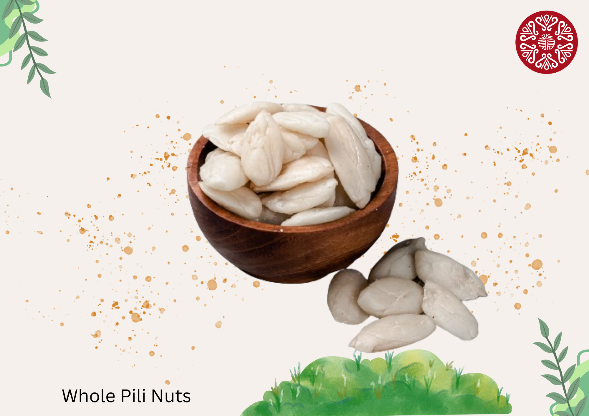 Whole Pili Nuts